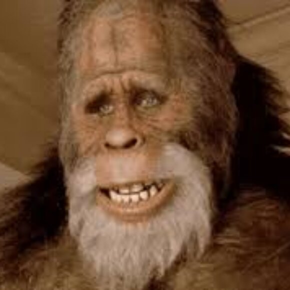 Meet your Posher, Tom - Picture 1 of 1